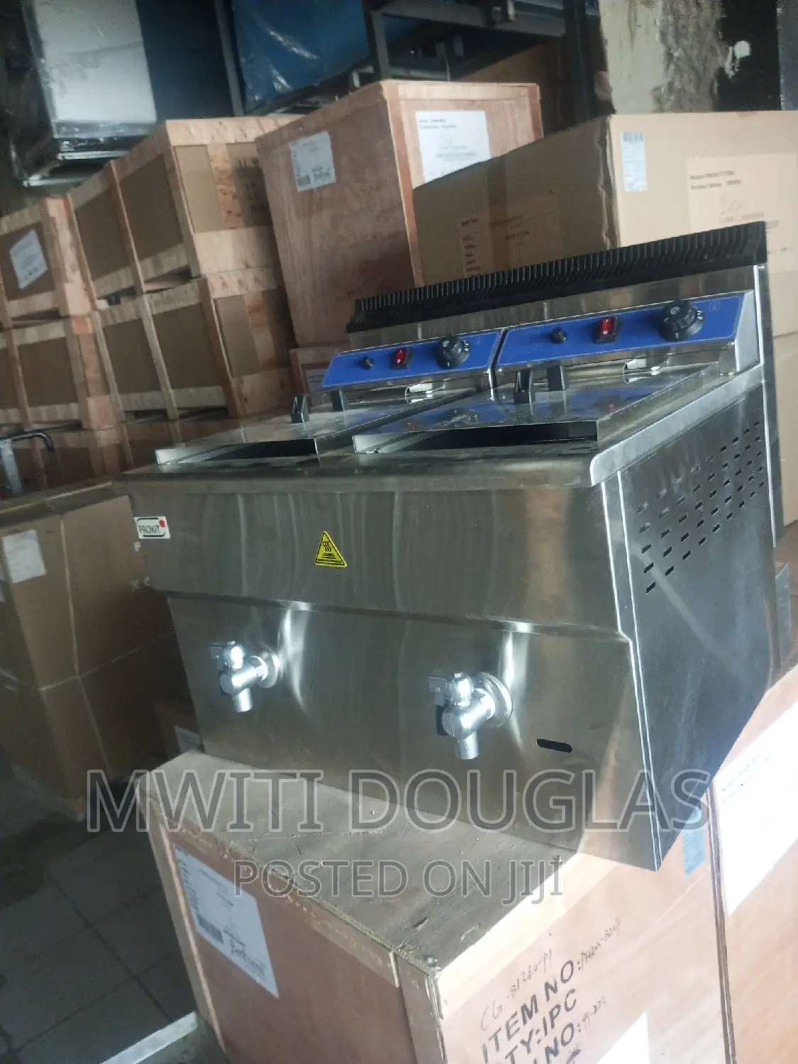 Imported Caterina Chips Fryer