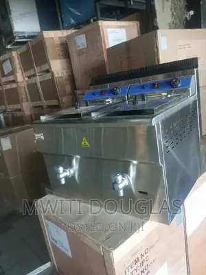 Imported Caterina Chips Fryer