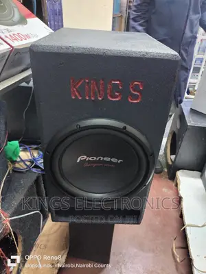 Pioneer 1600watta Double Coiled 312D4