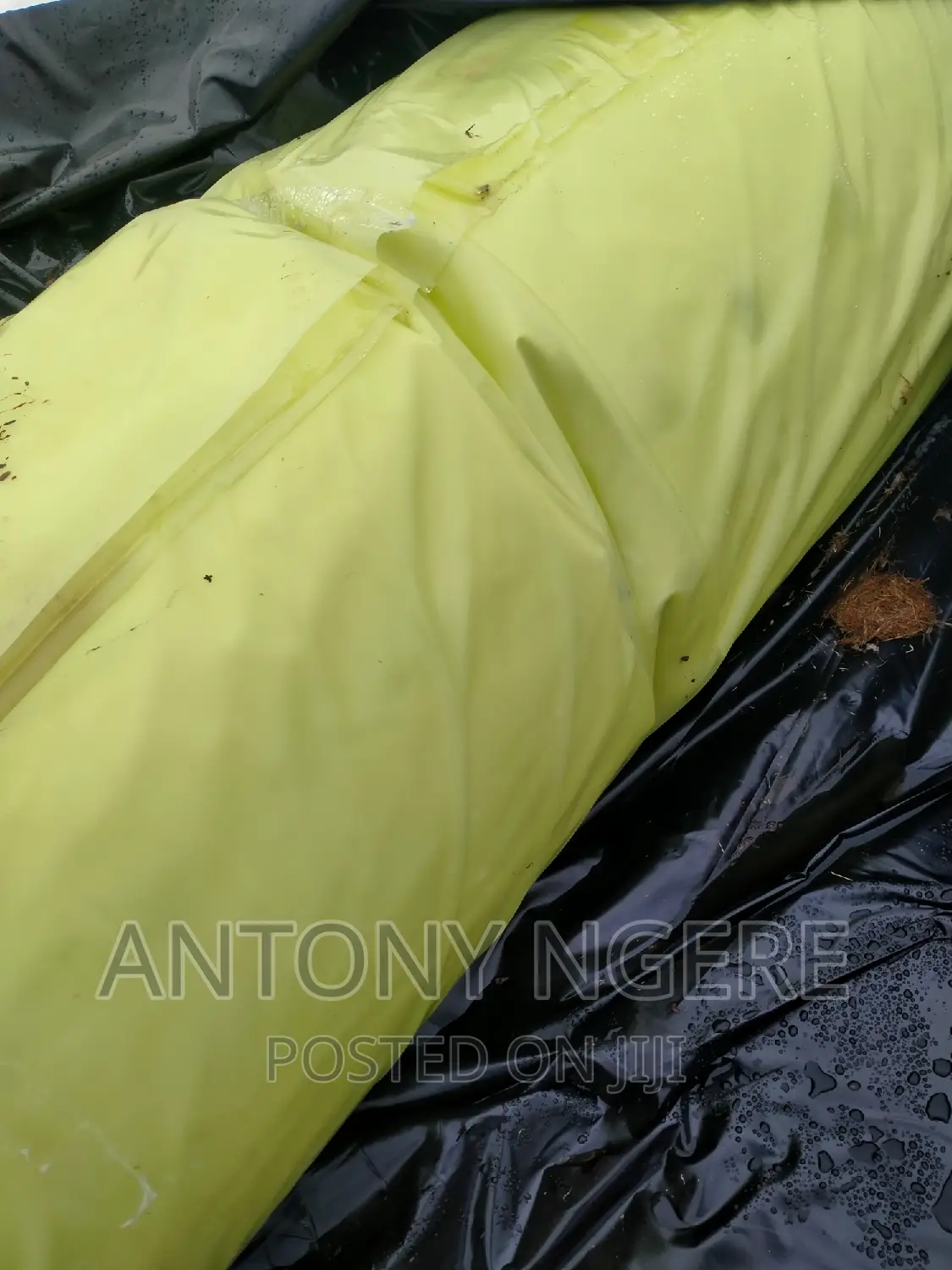 Greenhouse Polythene
