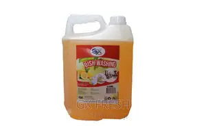 Dishwashing Liquid Soap
