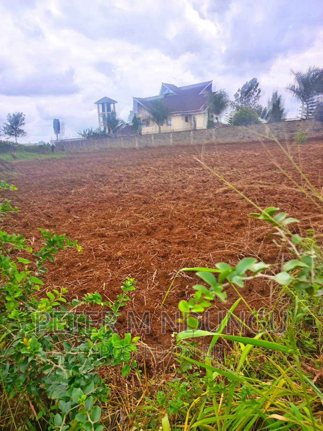 Prime Half Acre, Runda Mumwe