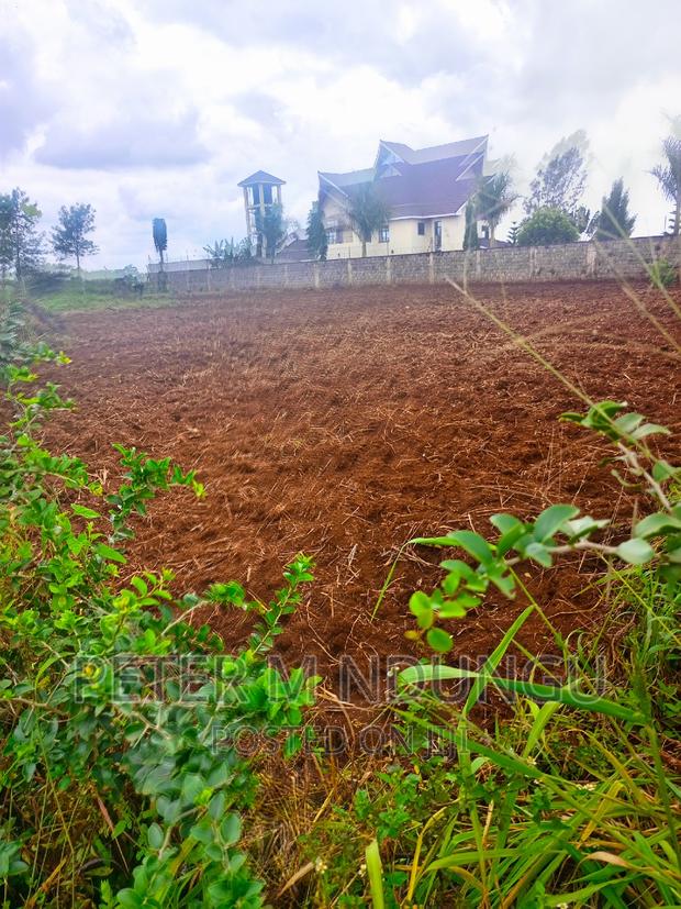 Prime Half Acre, Runda Mumwe - thumbnail 4