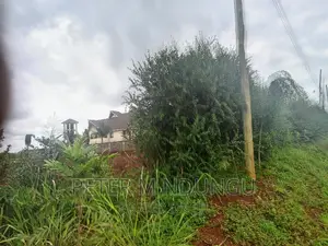 Prime Half Acre, Runda Mumwe