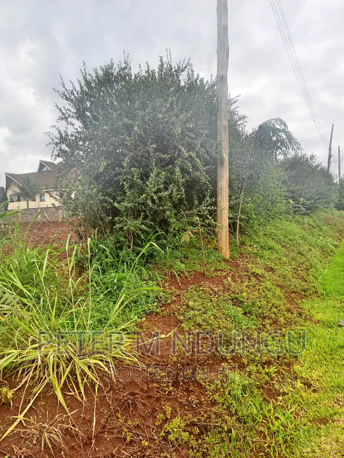 Prime Half Acre, Runda Mumwe