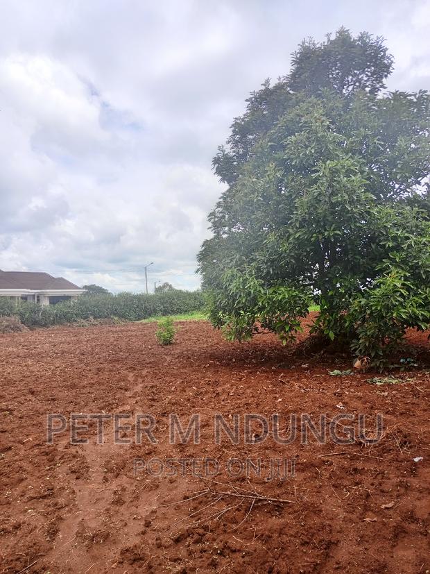 Prime Half Acre, Runda Mumwe - thumbnail 10