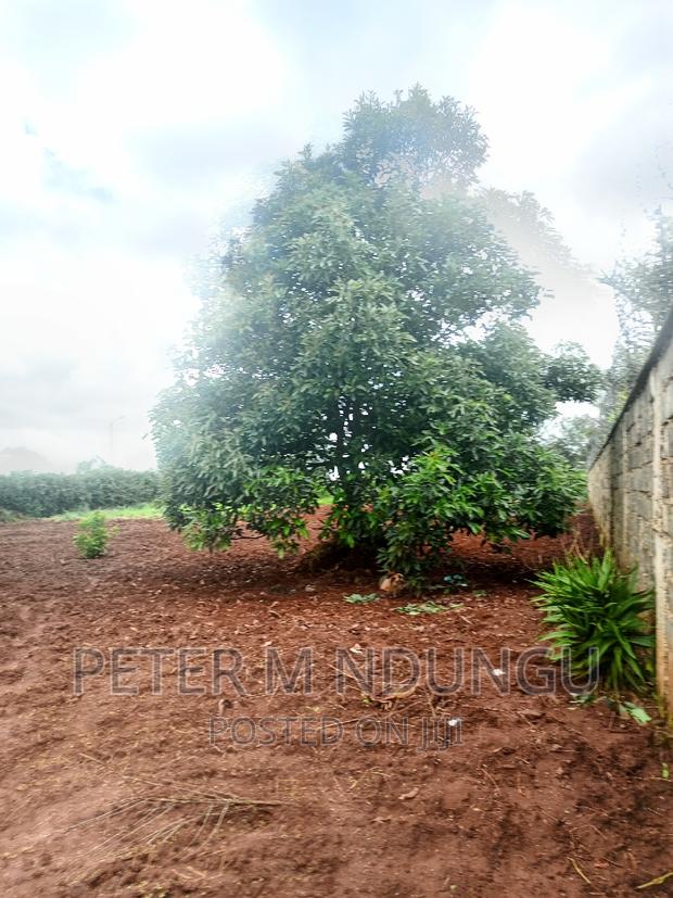 Prime Half Acre, Runda Mumwe - thumbnail 11