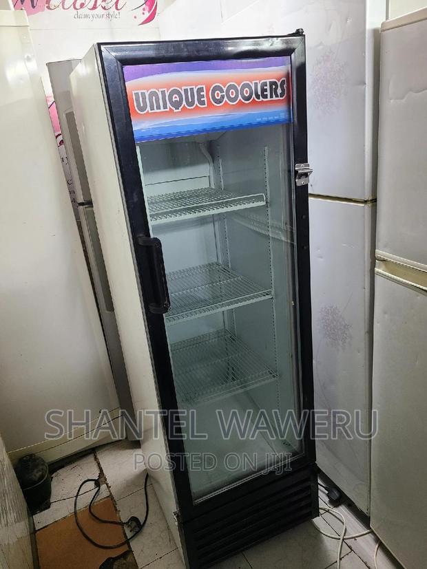 Display Fridges 300 Litres