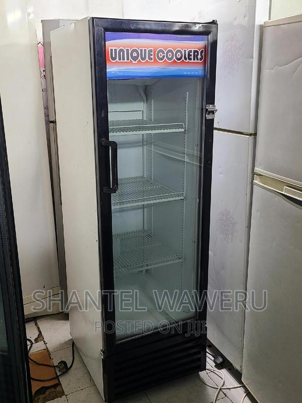 Display Fridges 300 Litres - thumbnail 3
