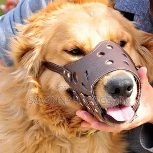 Adjustable Dog Muzzle Anti-Biting Puppy Pet Dog Mesh - L