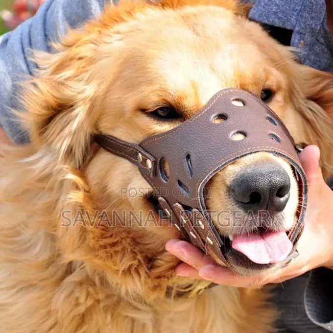 Adjustable Dog Muzzle Anti-Biting Puppy Pet Dog Mesh - L
