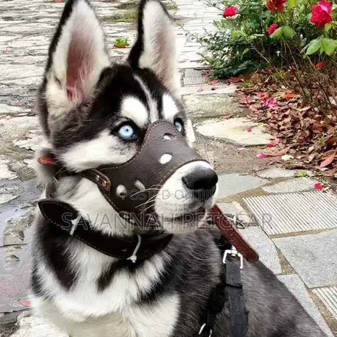 Adjustable Dog Muzzle Anti-Biting Puppy Pet Dog Mesh - L