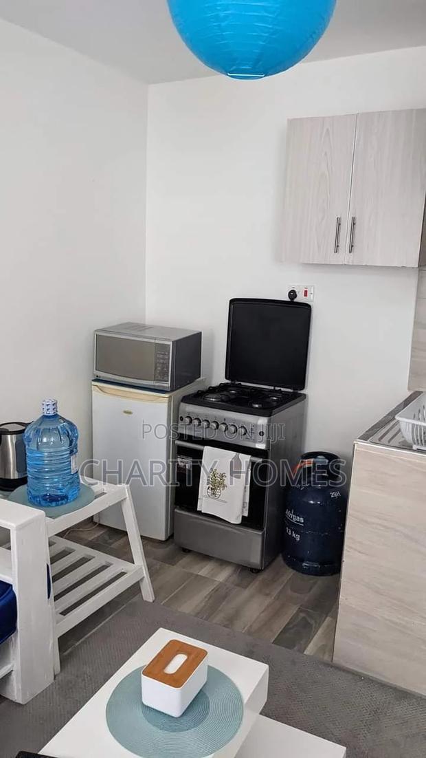 Airbnb One Bedroom in South B - thumbnail 3