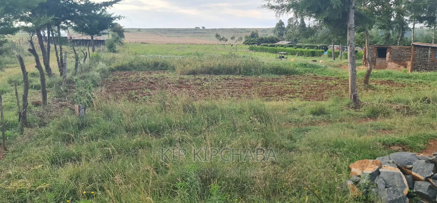 30 Acres Land for Sale in Moiben Rayfarm in Eldoret