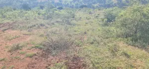 30 Acres Land for Sale in Moiben Rayfarm in Eldoret