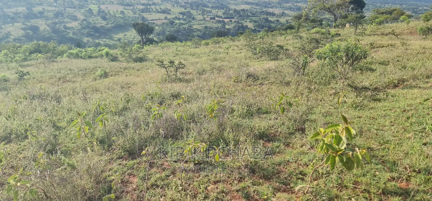 30 Acres Land for Sale in Moiben Rayfarm in Eldoret