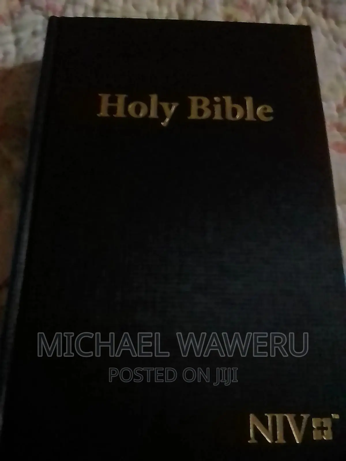 Big Print NIV Bible