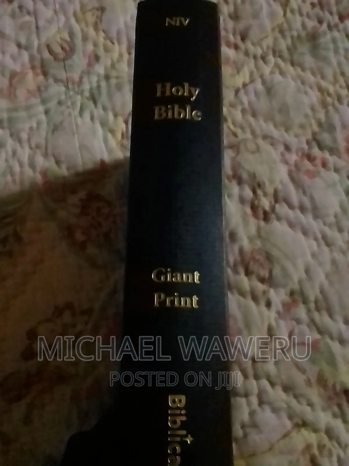 Big Print NIV Bible