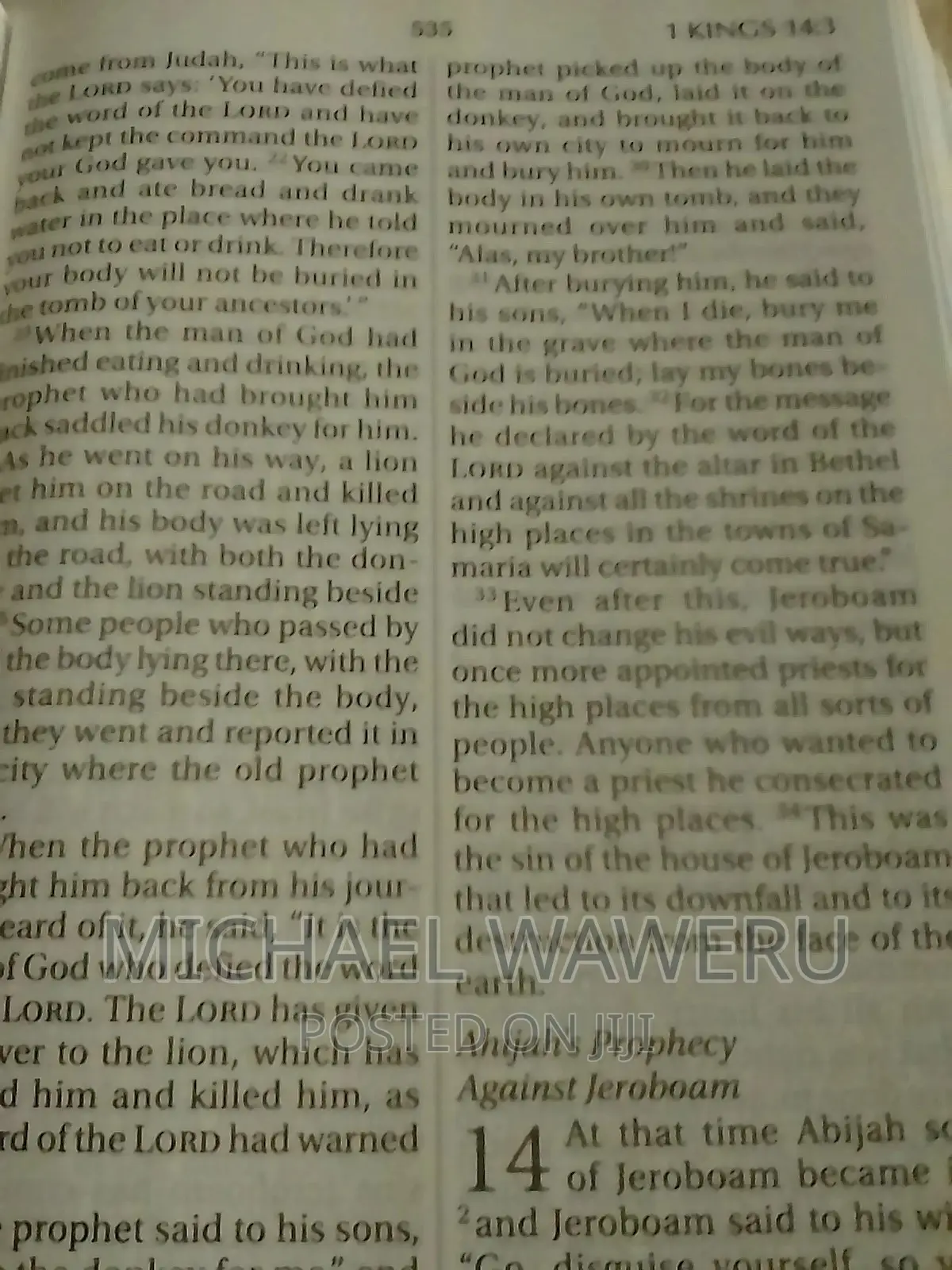 Big Print NIV Bible