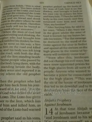 Big Print NIV Bible