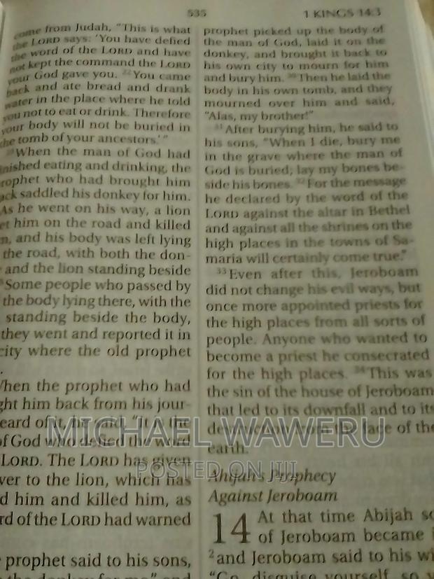 Big Print NIV Bible - thumbnail 4