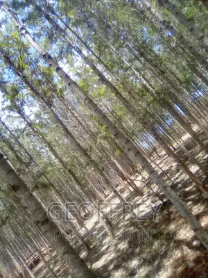 Selling 2.5 Acres in Maragwa Kabirwa