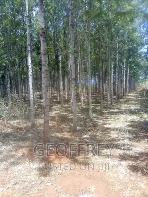 Selling 2.5 Acres in Maragwa Kabirwa