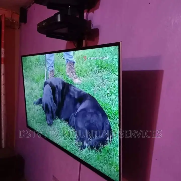 Tv Mounting