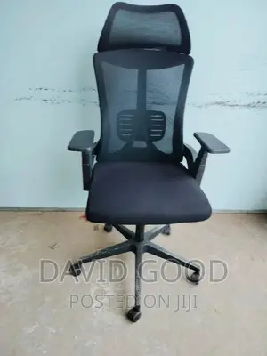 Othropedic Office Chair Office Chair Othropedic Chair