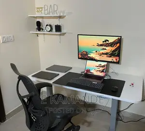 Office Ergonomic Electric Adjustable Standing Desk