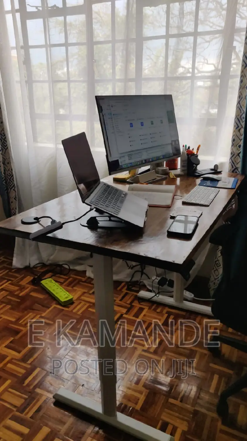 Office Ergonomic Electric Adjustable Standing Desk