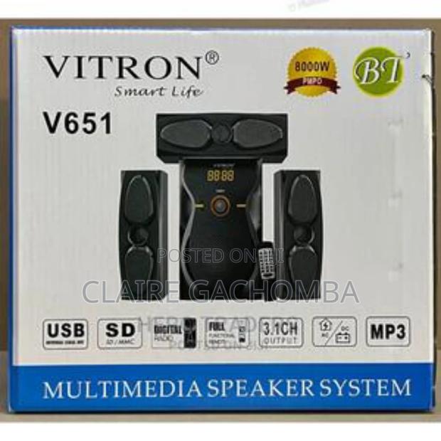 Vitron V651 Woofer Bass Speaker