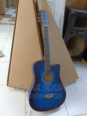 Acoustic Guitar Blue Enjoy