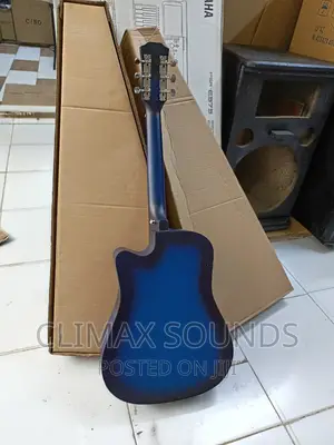 Acoustic Guitar Blue Enjoy