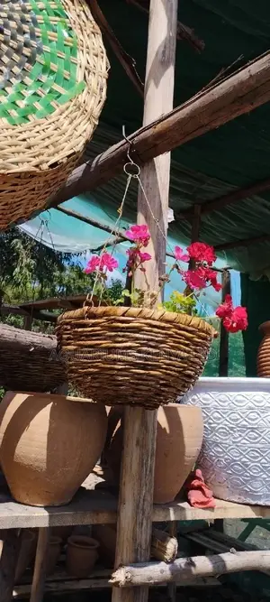 Hanging Baskets With Red,Pink Flowers,