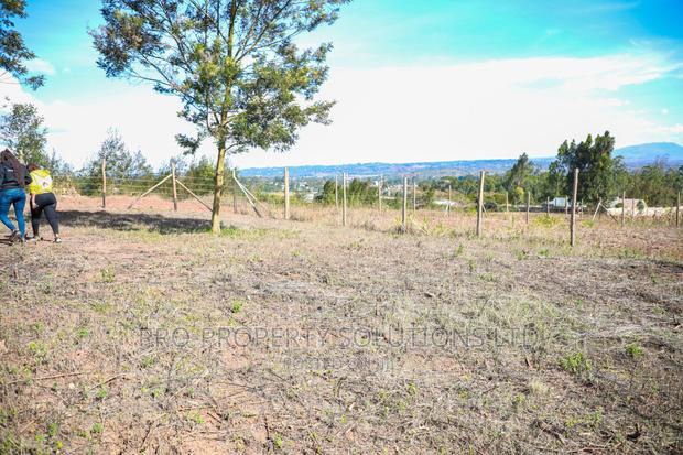Prime Residential Plot for Sale in Kikuyu - thumbnail 5