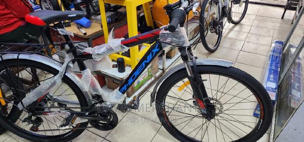 Phoenix Size 26 - main view