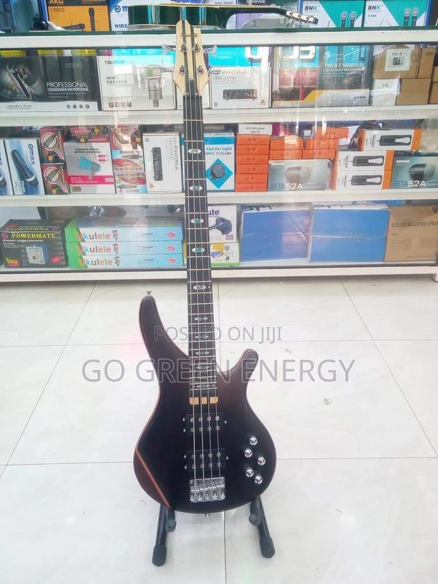 Fender Bass Guitar - main view