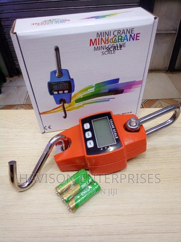 Crane Scale 300kg - main view