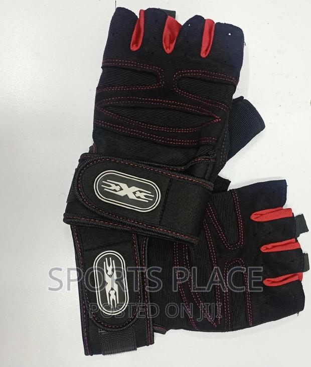 Cycling and Gym Gloves