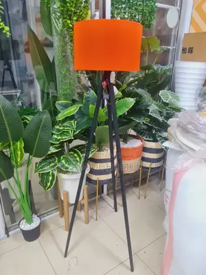 Floor Lamp With Orange Lampshade
