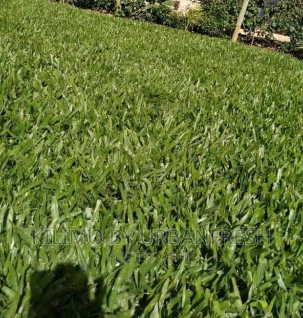Pemba Grass Packed in 50 Kg Bag.