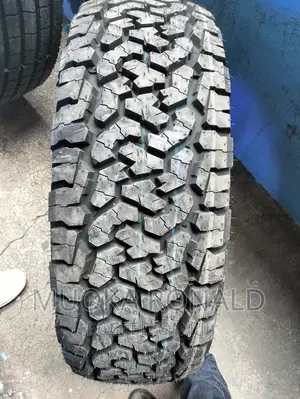 245/70r17 Roadcruza Tyre (A/T