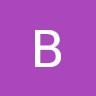 Brenda logo