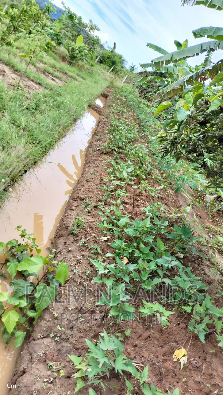 3.46 Acre Shimbahills Established Fruit Farm!!