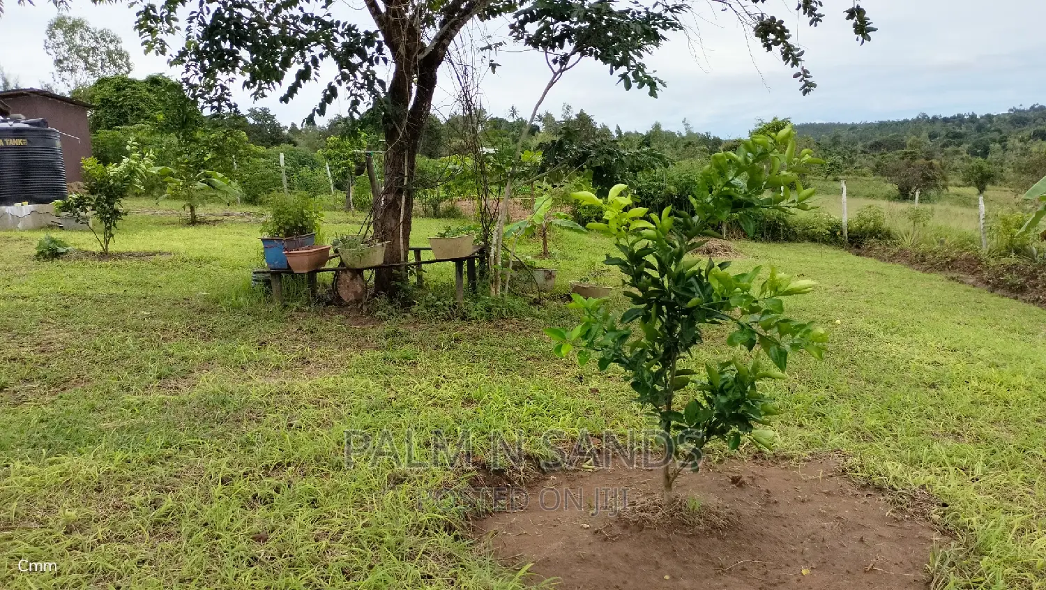 3.46 Acre Shimbahills Established Fruit Farm!!