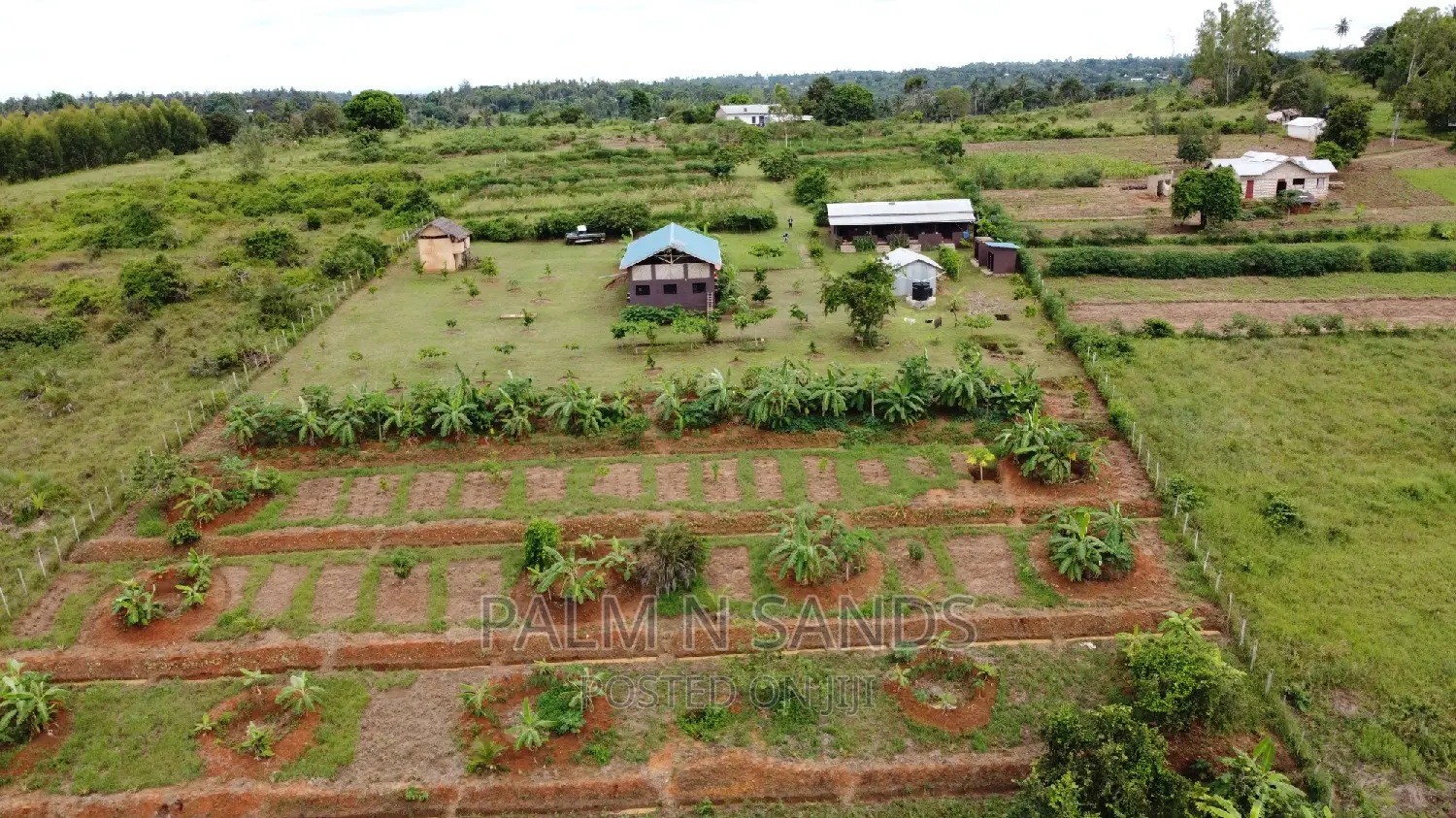 3.46 Acre Shimbahills Established Fruit Farm!!