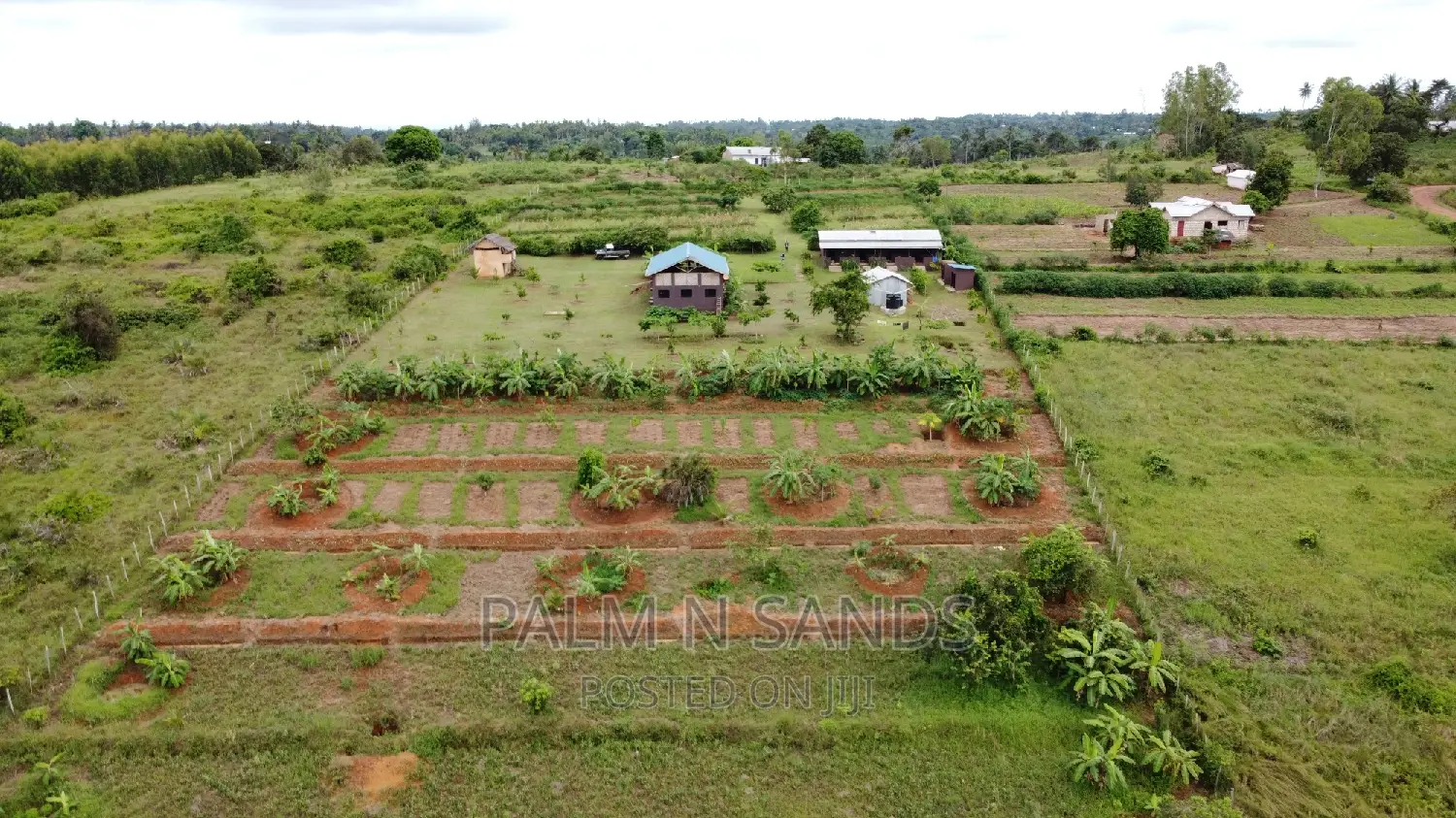 3.46 Acre Shimbahills Established Fruit Farm!!