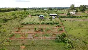 3.46 Acre Shimbahills Established Fruit Farm!!