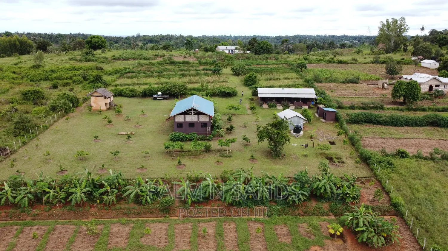 3.46 Acre Shimbahills Established Fruit Farm!!